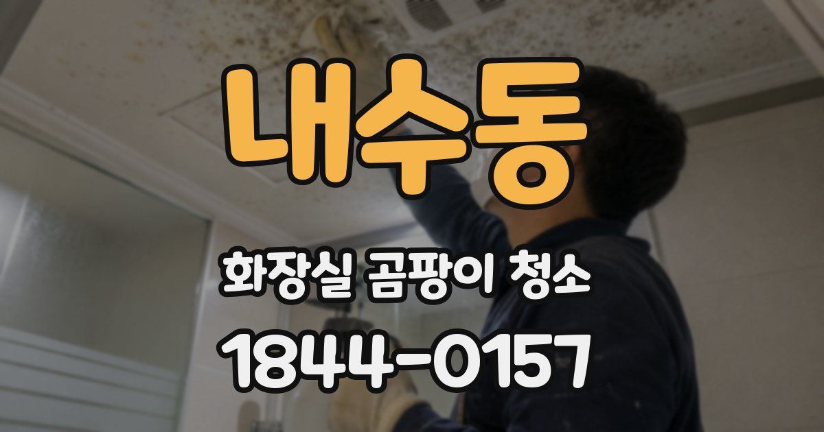 내수동 화장실 곰팡이 청소