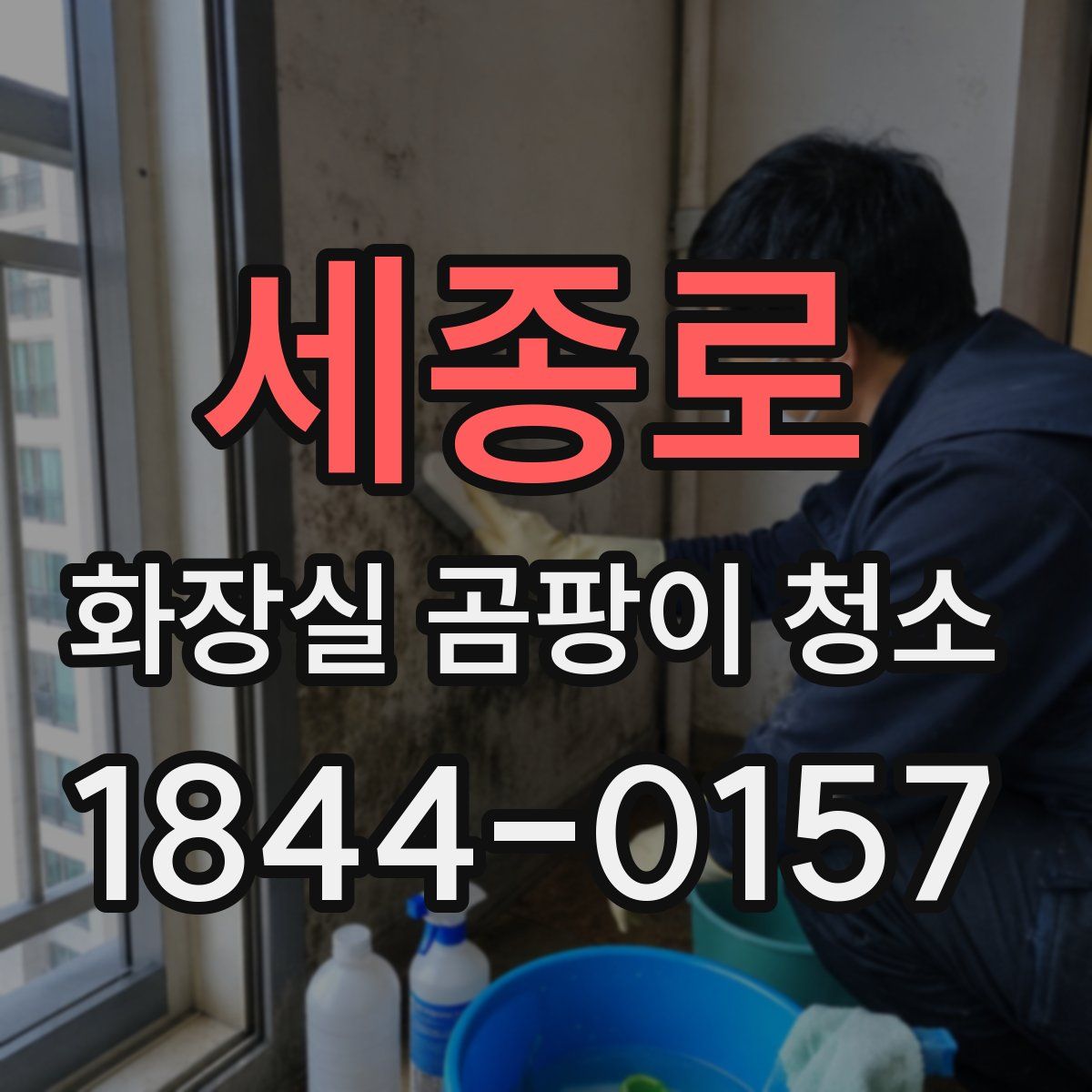 세종로 화장실 곰팡이 청소