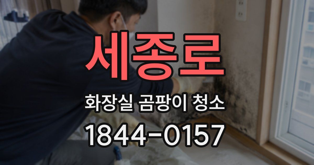 세종로 화장실 곰팡이 청소