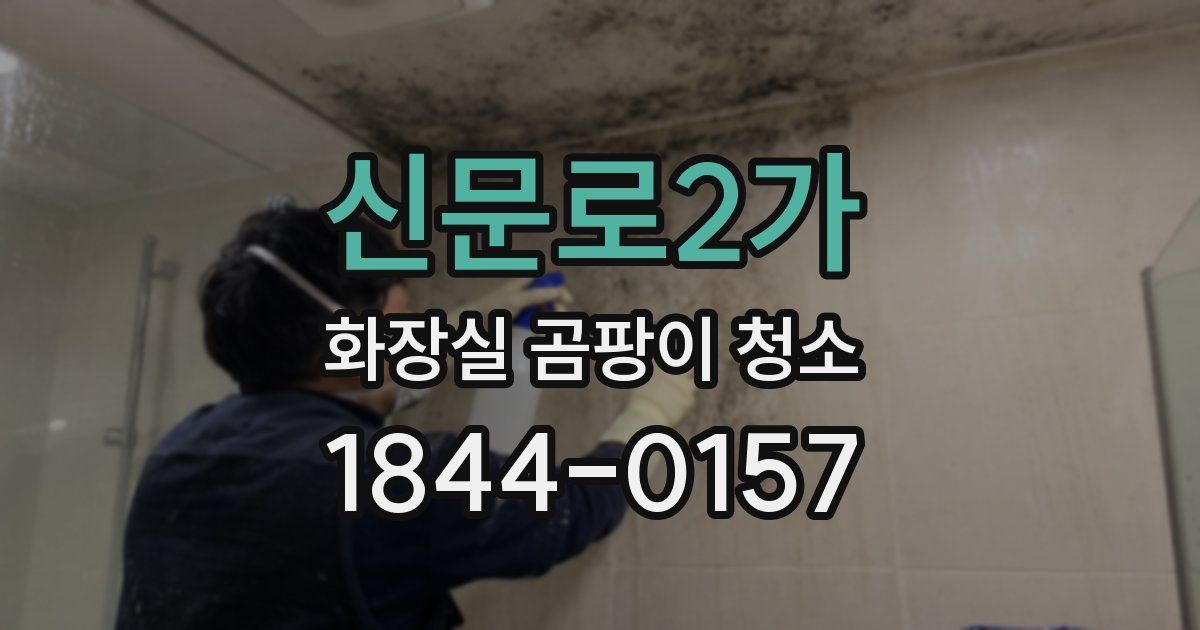 신문로2가 화장실 곰팡이 청소