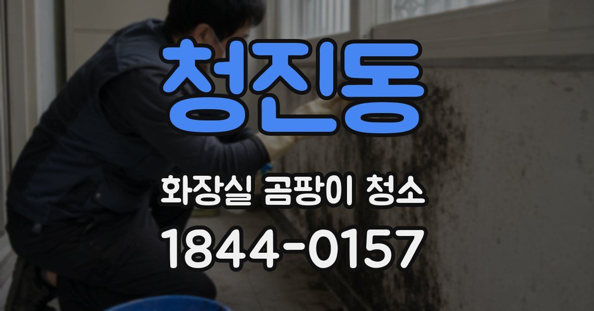 청진동 화장실 곰팡이 청소