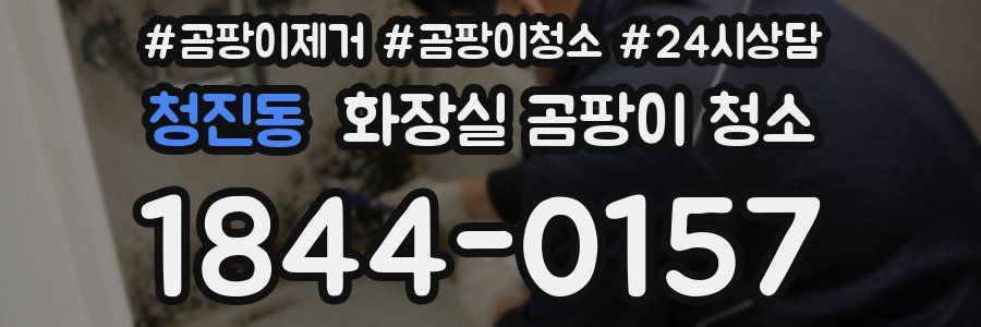 청진동 화장실 곰팡이 청소