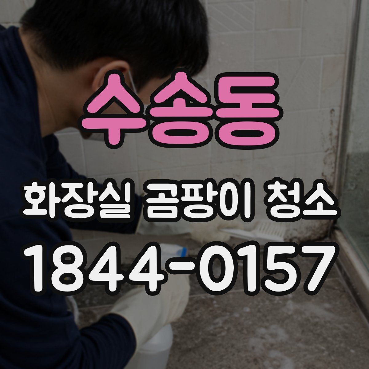 수송동 화장실 곰팡이 청소 세제 고르는 법과 사용 순서를 한 번에