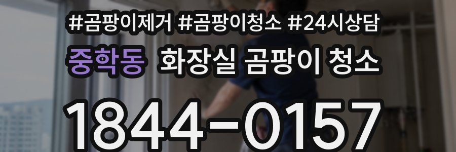 중학동 화장실 곰팡이 청소