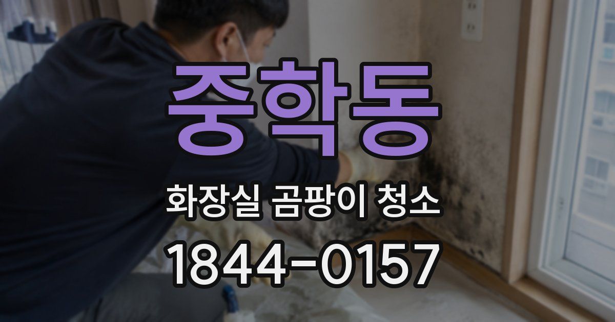 중학동 화장실 곰팡이 청소
