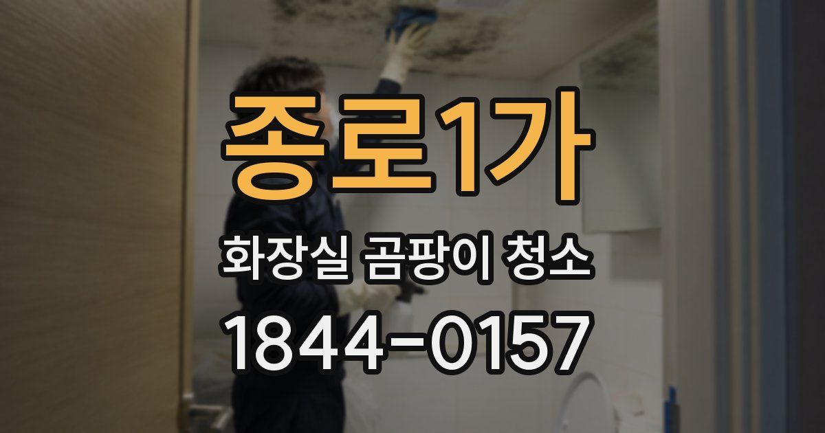 종로1가 화장실 곰팡이 청소