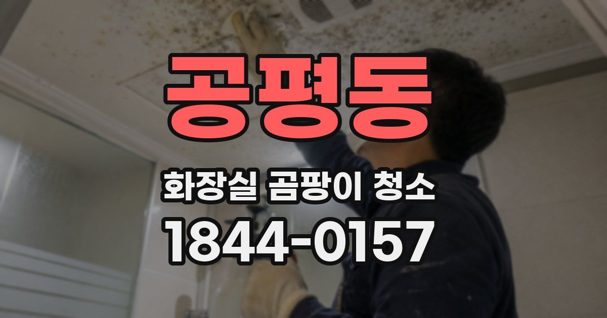 공평동 화장실 곰팡이 청소