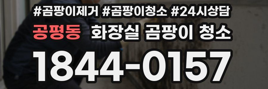 공평동 화장실 곰팡이 청소