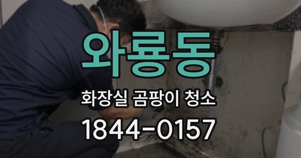 와룡동 화장실 곰팡이 청소