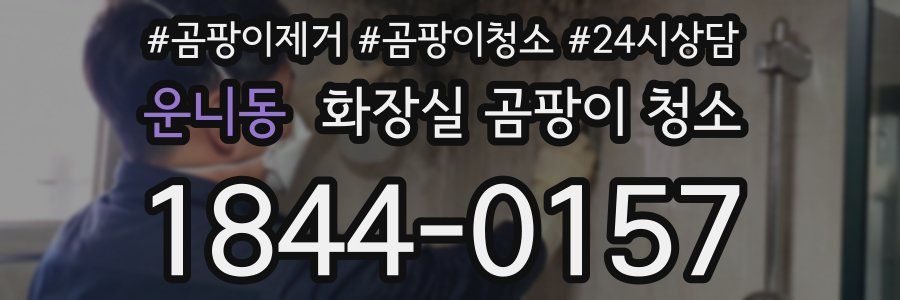 운니동 화장실 곰팡이 청소
