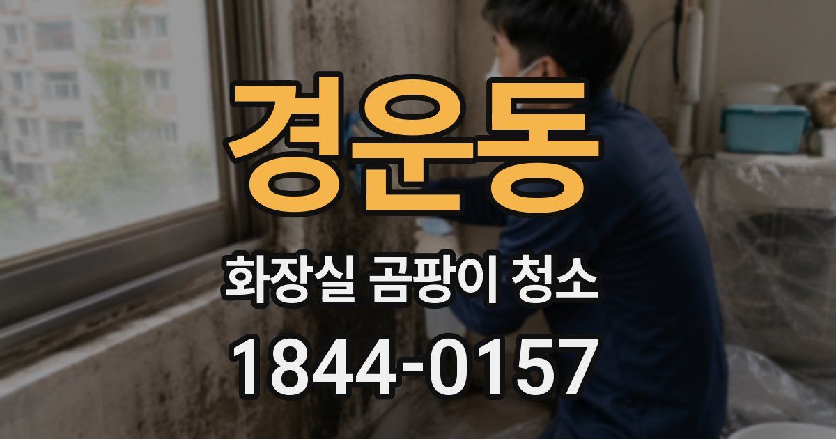 경운동 화장실 곰팡이 청소