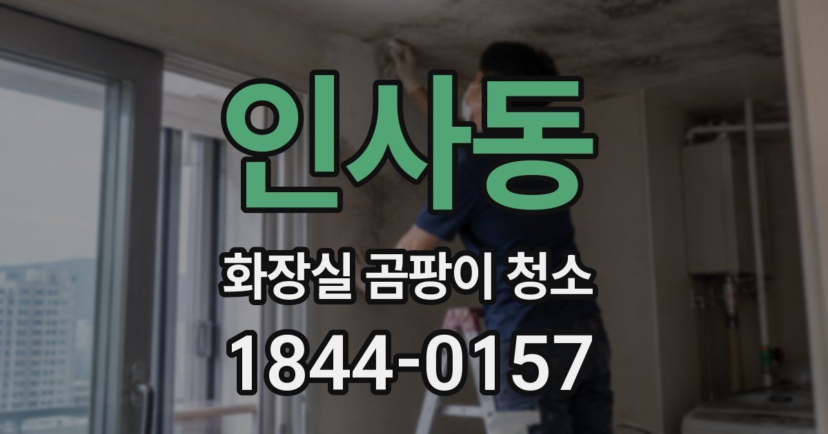 인사동 화장실 곰팡이 청소