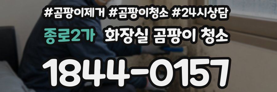 종로2가 화장실 곰팡이 청소