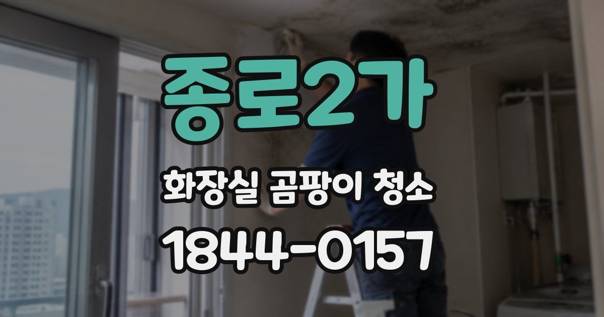 종로2가 화장실 곰팡이 청소