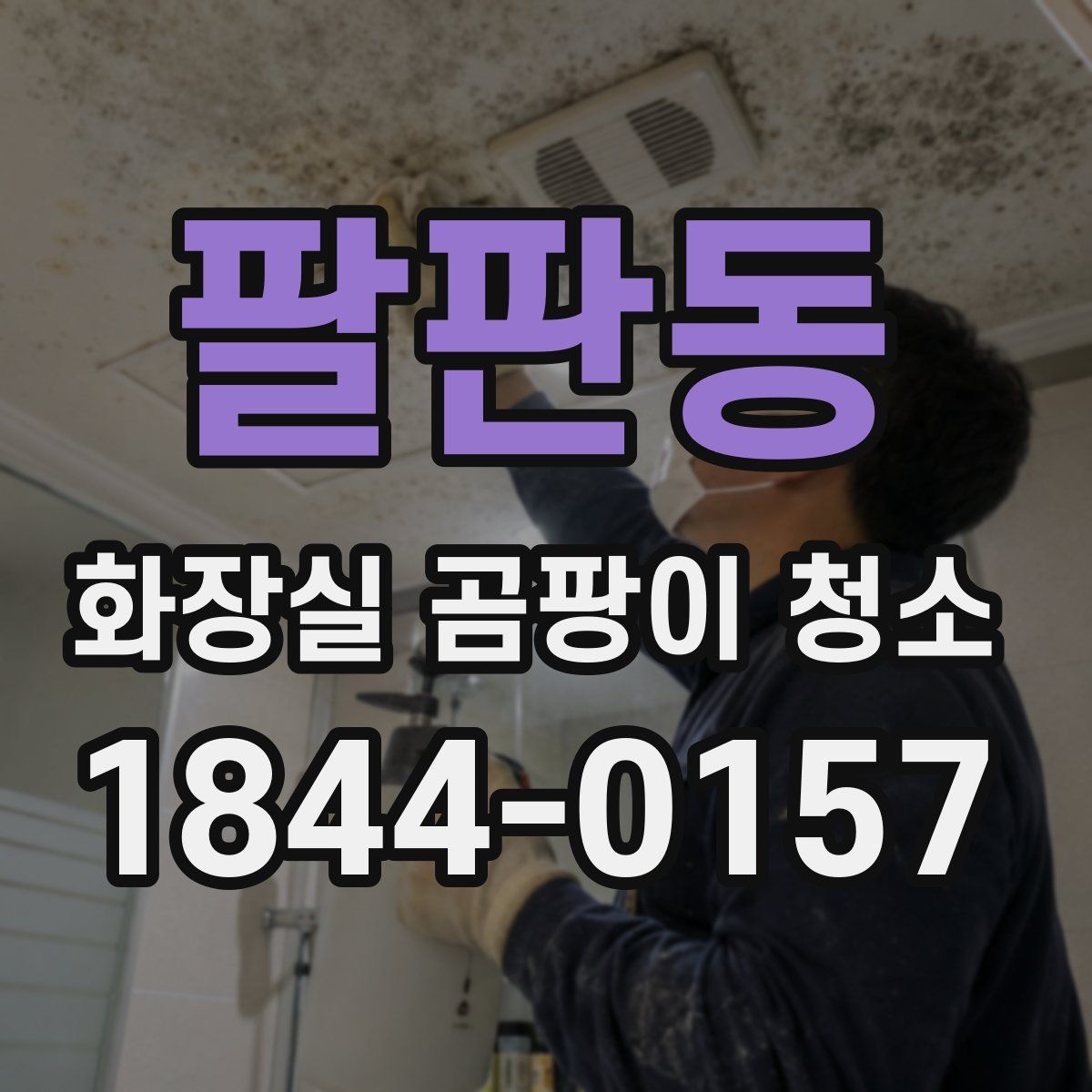 팔판동 화장실 곰팡이 청소