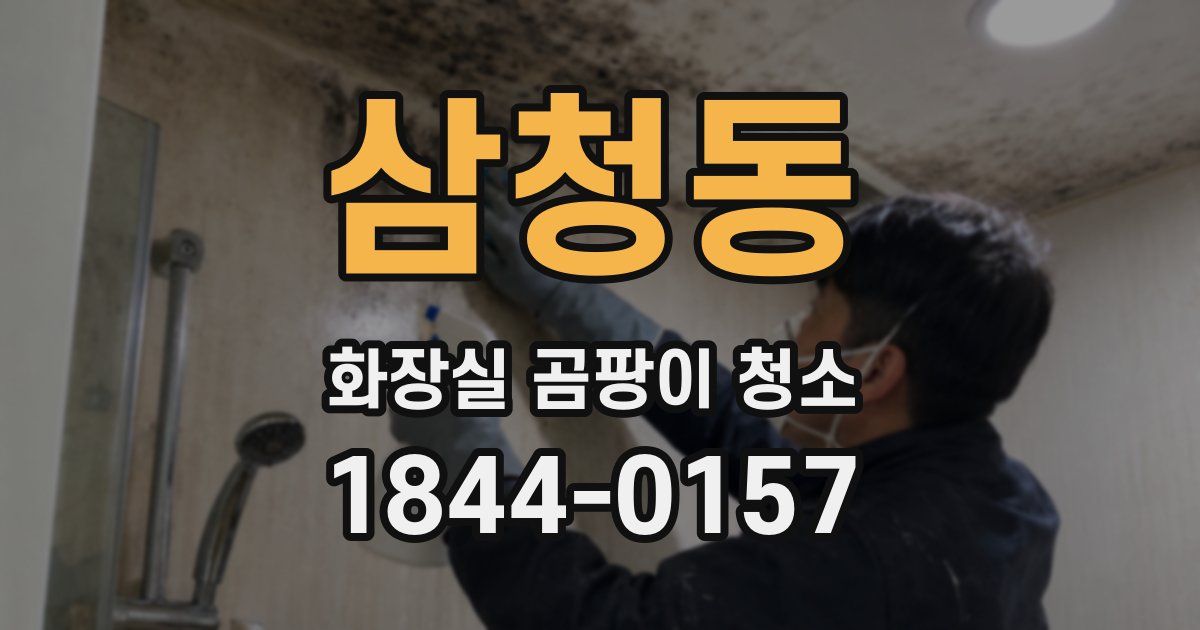 삼청동 화장실 곰팡이 청소