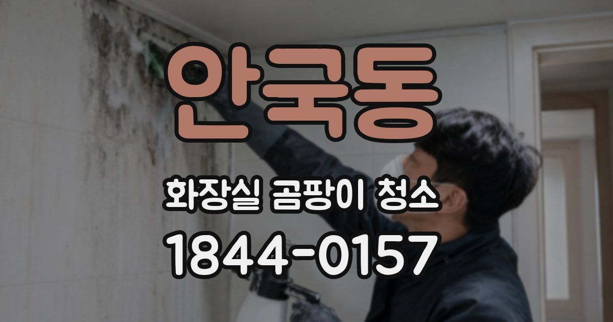 안국동 화장실 곰팡이 청소