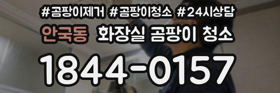 안국동 화장실 곰팡이 청소