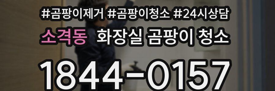 소격동 화장실 곰팡이 청소