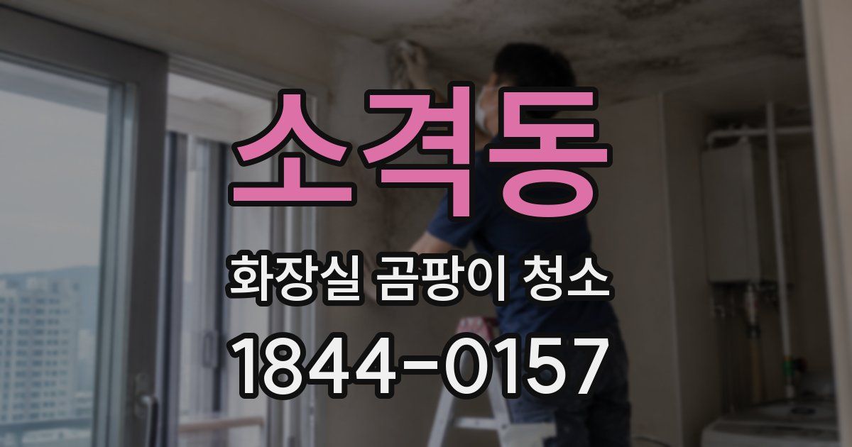 소격동 화장실 곰팡이 청소
