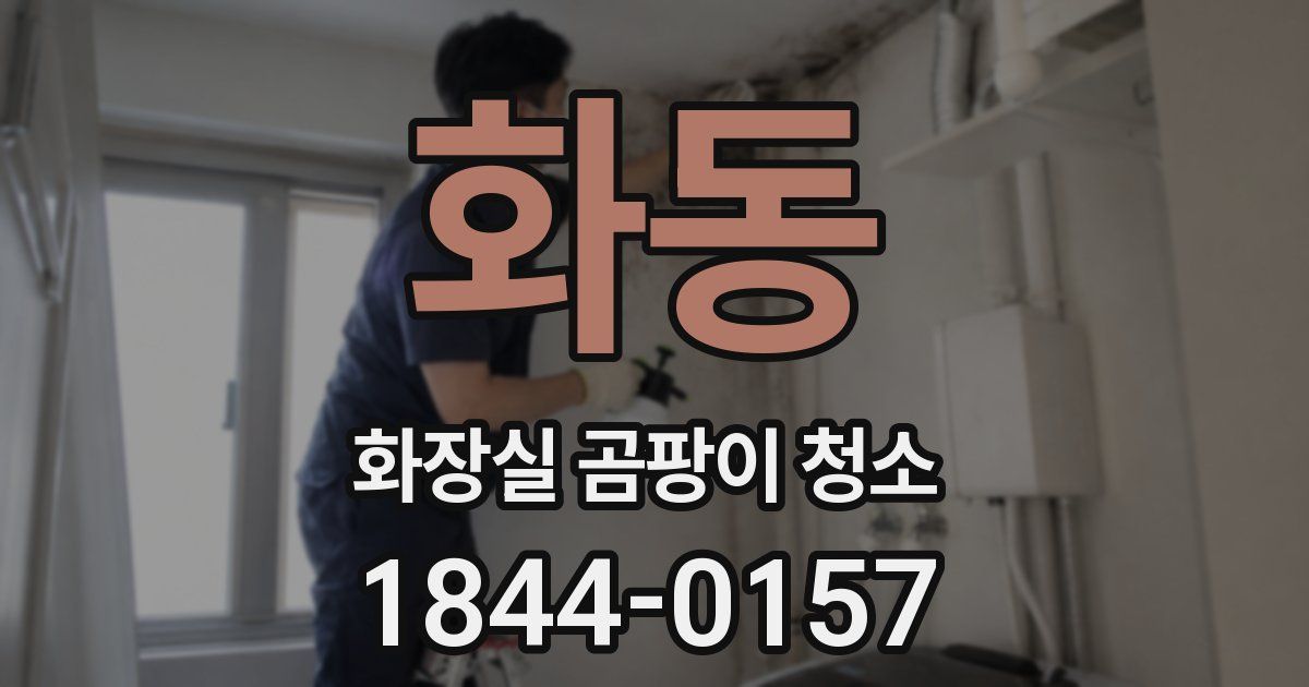 화동 화장실 곰팡이 청소