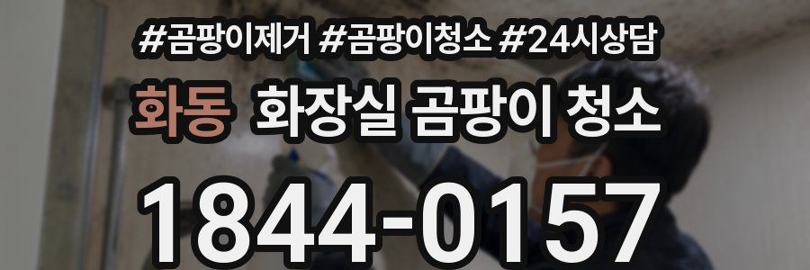 화동 화장실 곰팡이 청소