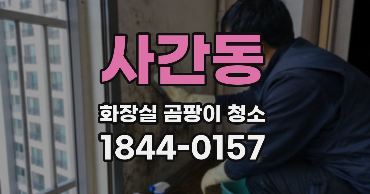 사간동 화장실 곰팡이 청소