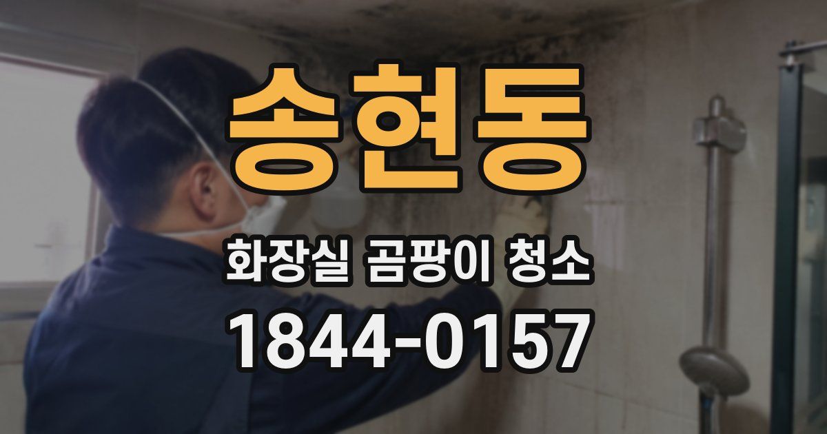 송현동 화장실 곰팡이 청소
