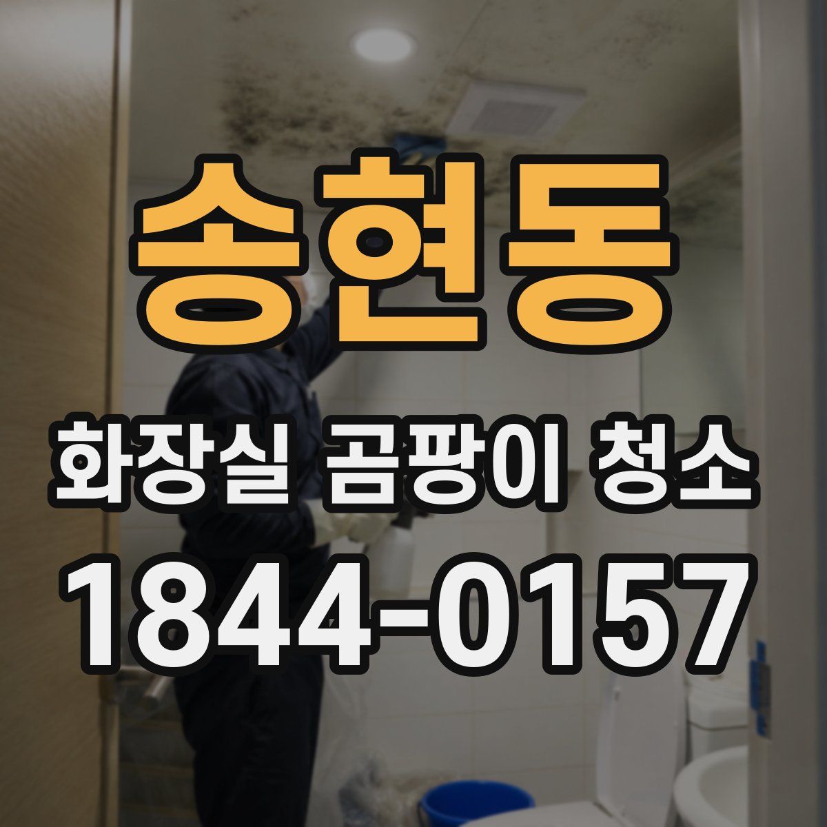 송현동 화장실 곰팡이 청소