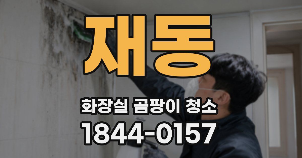 재동 화장실 곰팡이 청소