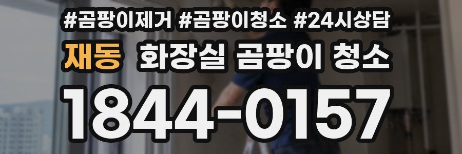 재동 화장실 곰팡이 청소
