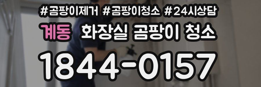 계동 화장실 곰팡이 청소