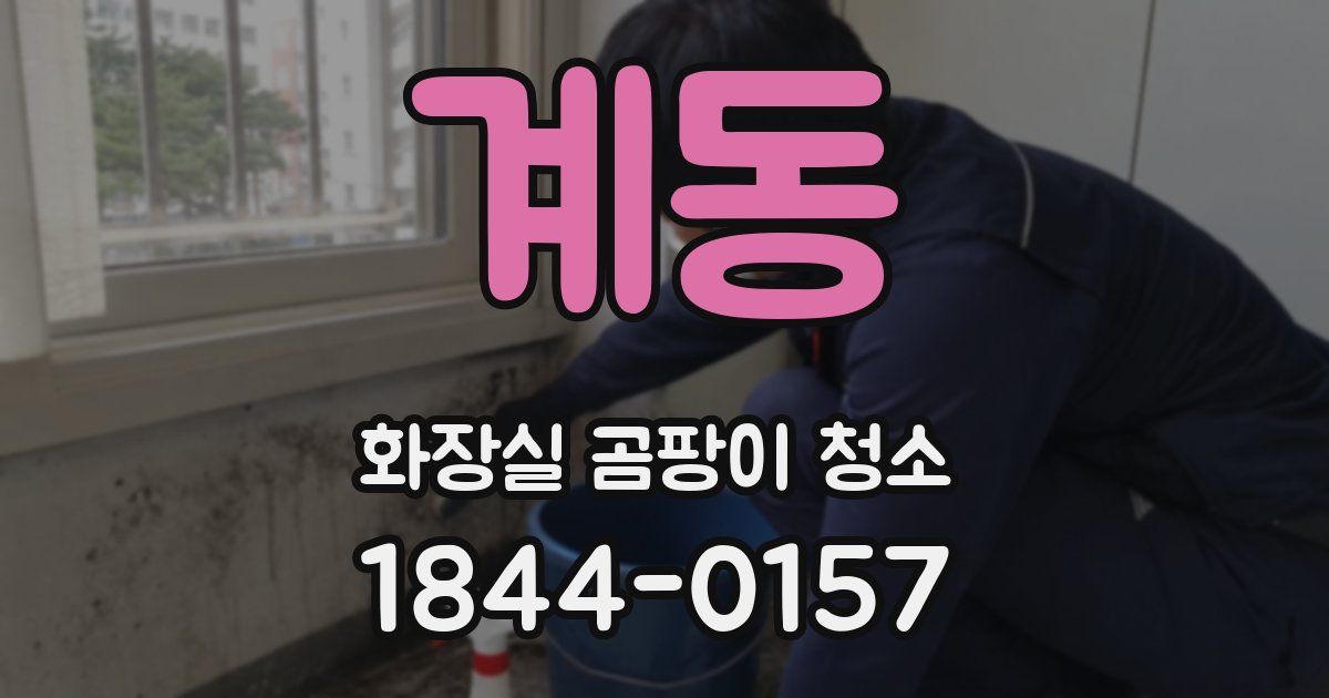 계동 화장실 곰팡이 청소