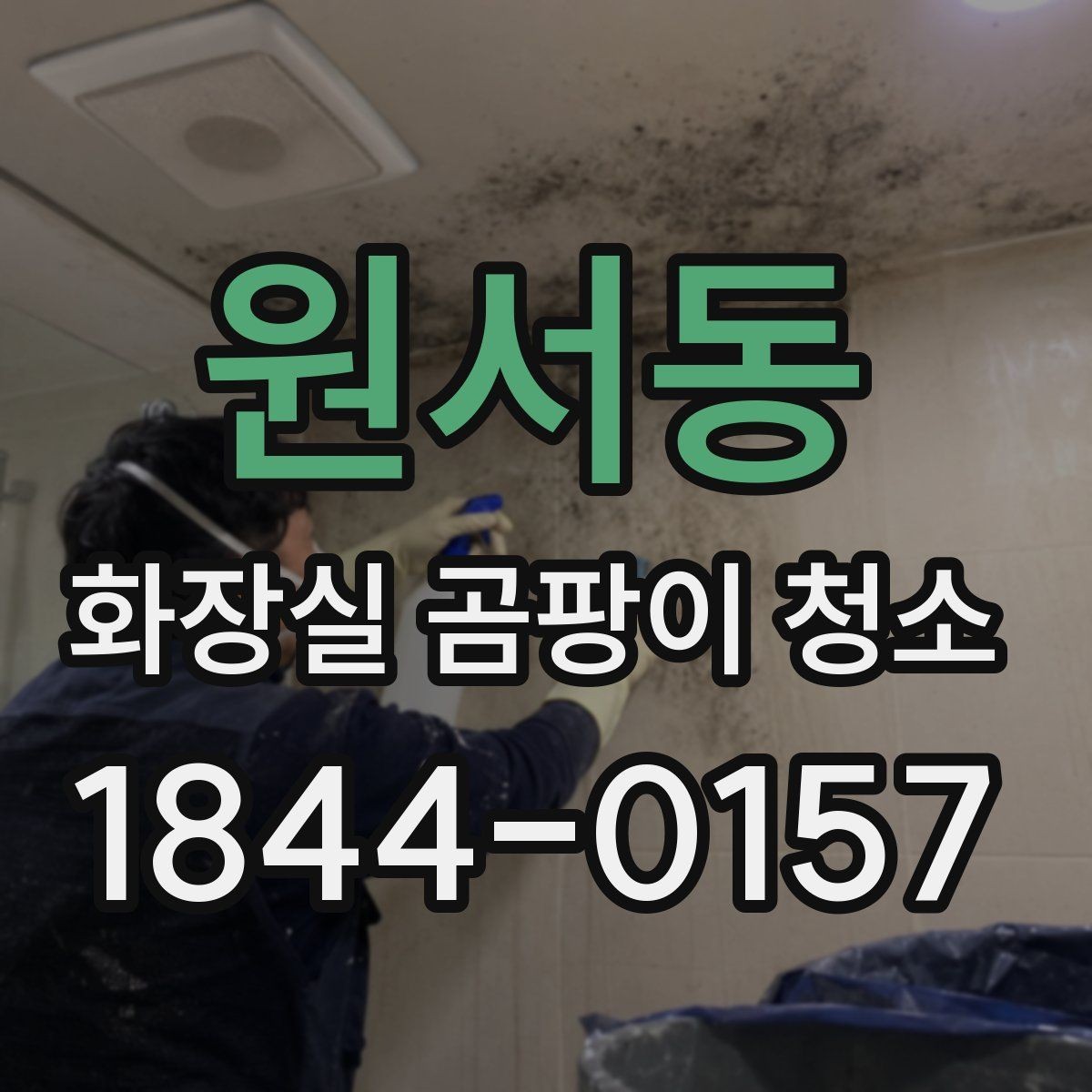 원서동 화장실 곰팡이 청소 청소 주기를 정할 때 놓치기 쉬운 곳