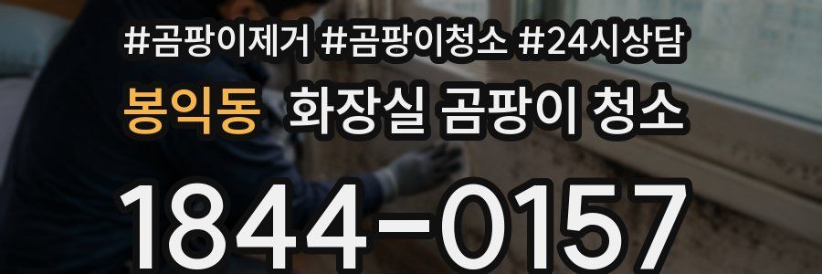 봉익동 화장실 곰팡이 청소