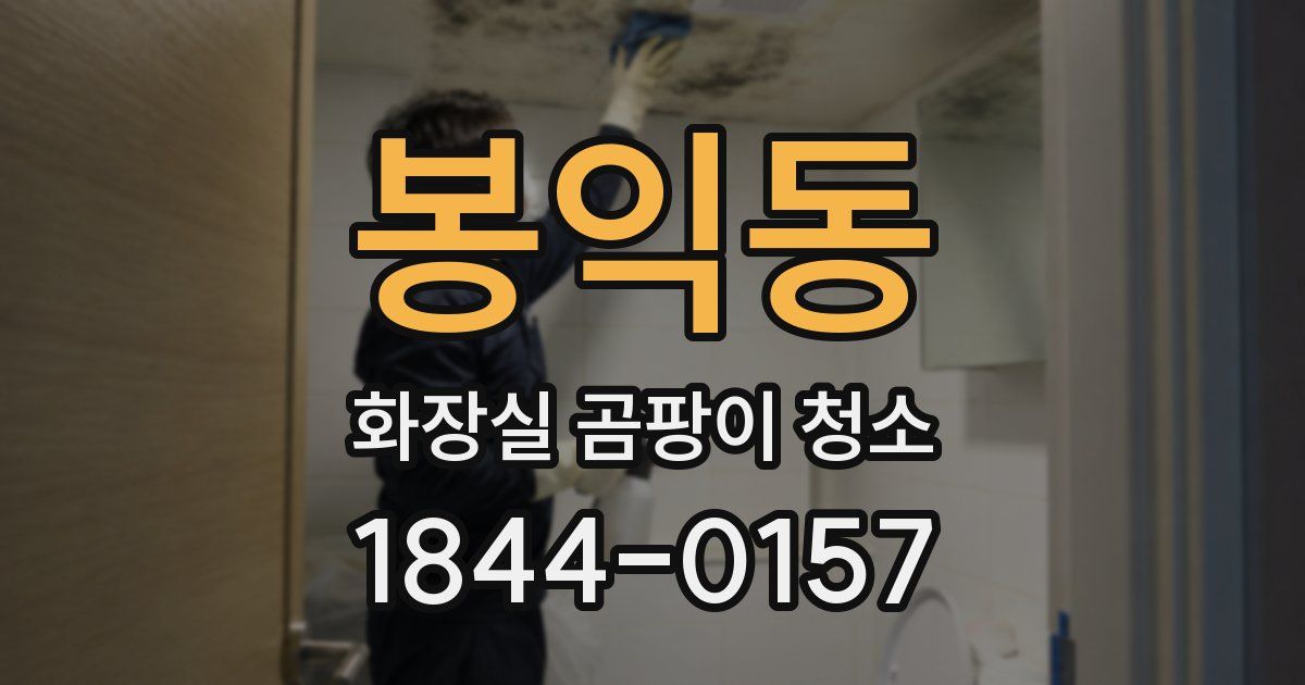봉익동 화장실 곰팡이 청소
