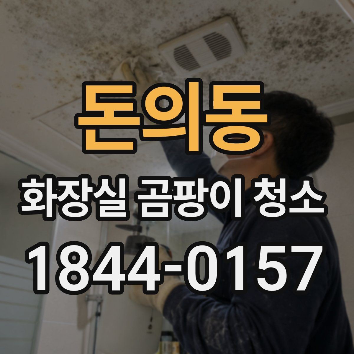 돈의동 화장실 곰팡이 청소 세정제별 분사 방식이 달라지는 이유