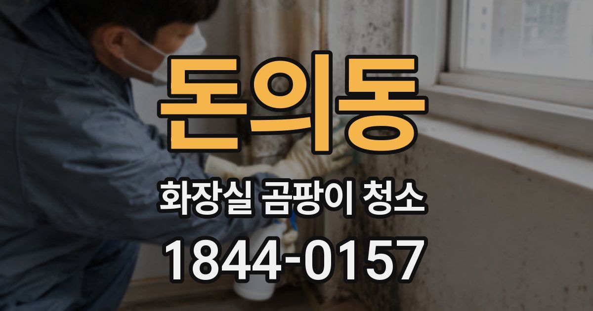 돈의동 화장실 곰팡이 청소