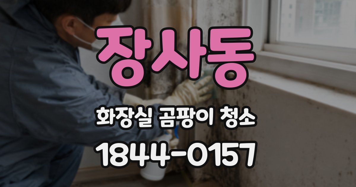장사동 화장실 곰팡이 청소