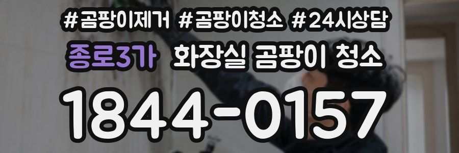 종로3가 화장실 곰팡이 청소