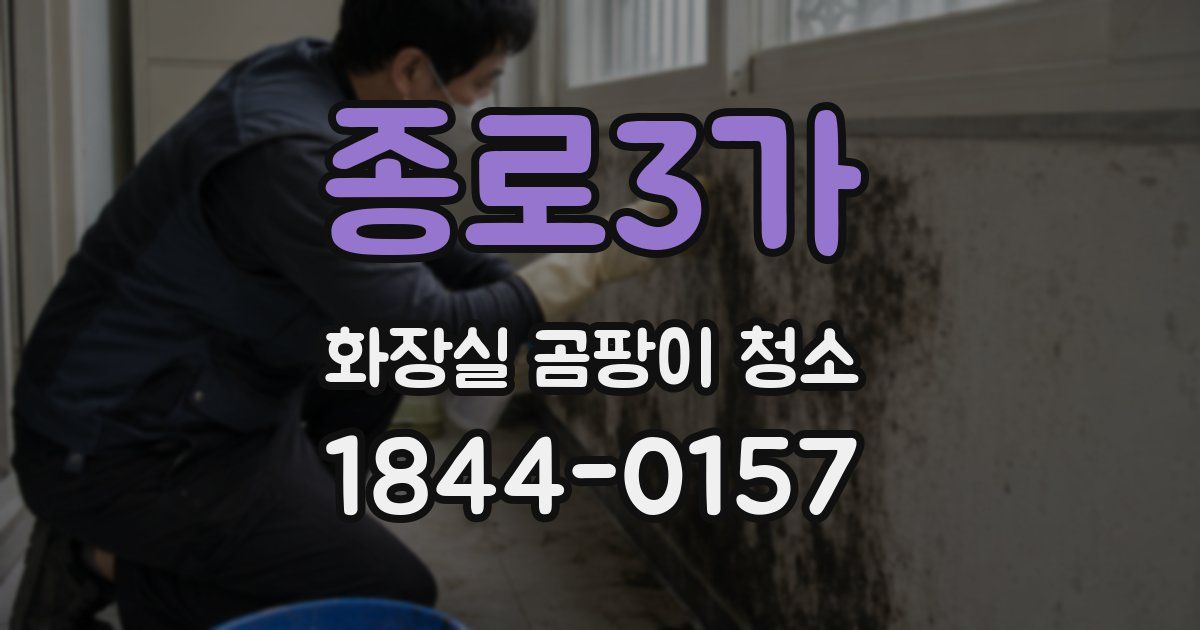 종로3가 화장실 곰팡이 청소