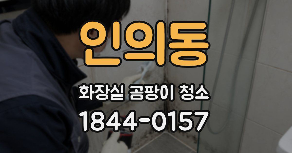 인의동 화장실 곰팡이 청소
