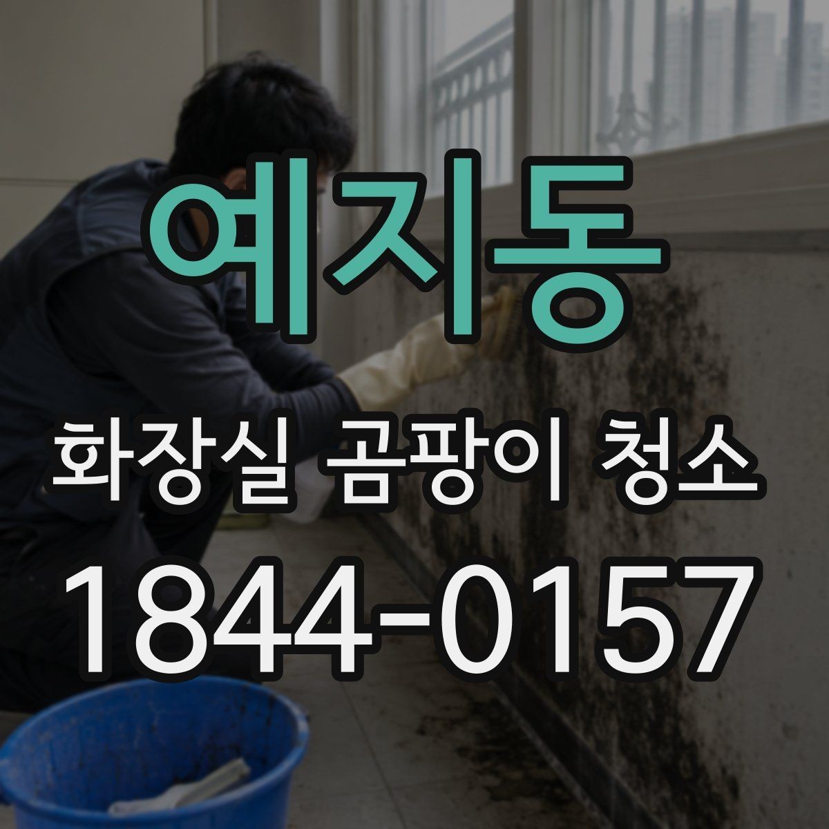 예지동 화장실 곰팡이 청소 환기 구조에 따라 달라지는 정리 포인트