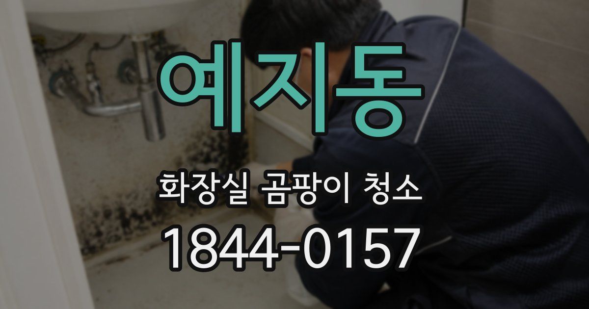 예지동 화장실 곰팡이 청소