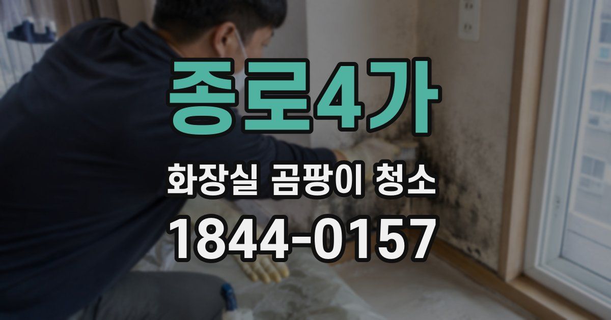 종로4가 화장실 곰팡이 청소