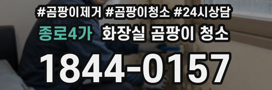 종로4가 화장실 곰팡이 청소