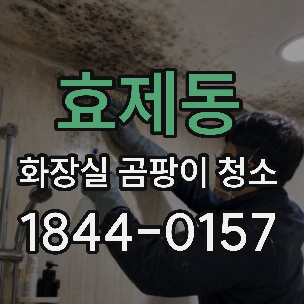 효제동 화장실 곰팡이 청소 실리콘 틈새가 까맣게 보일 때 해결 순서