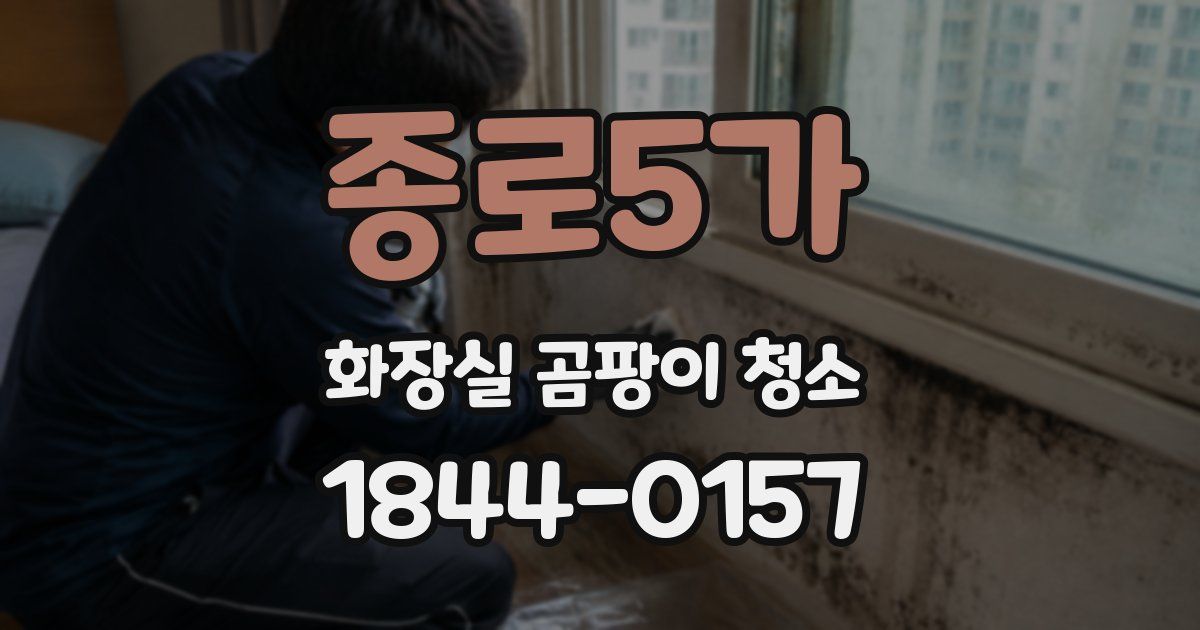 종로5가 화장실 곰팡이 청소