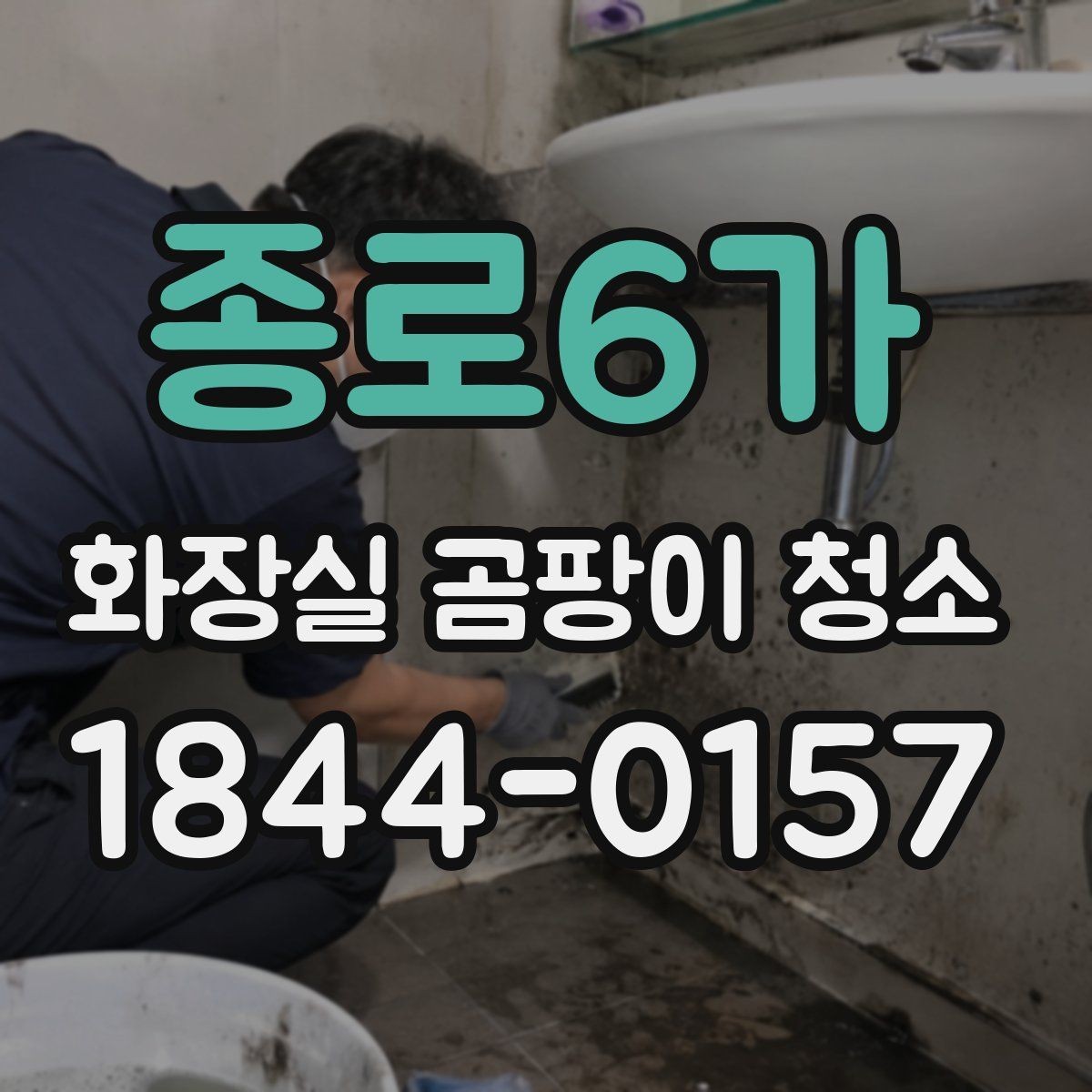 종로6가 화장실 곰팡이 청소 셀프로 처리할지 의뢰할지 판단하는 기준