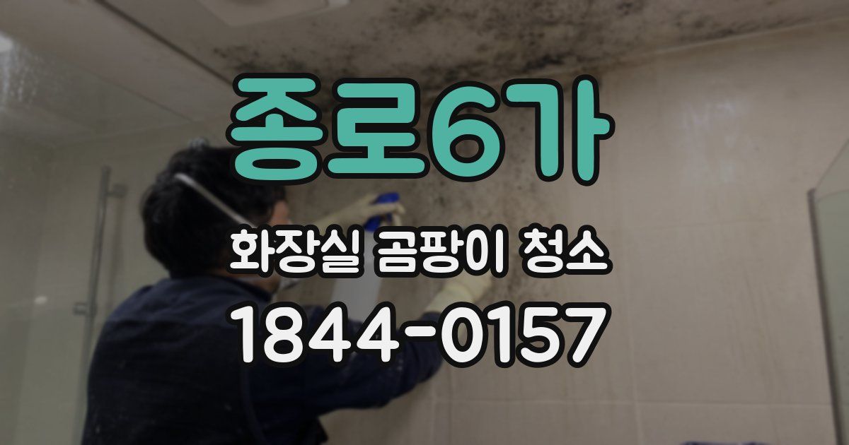 종로6가 화장실 곰팡이 청소